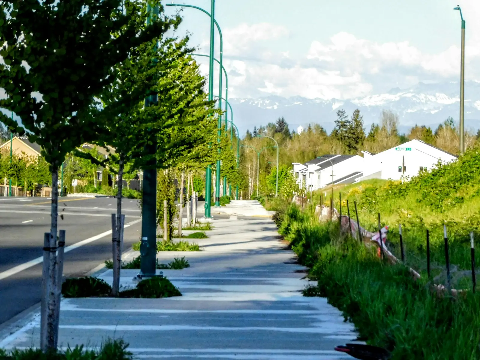 Sidewalks, Walkways & Approaches project example for Troy, MI homeowners